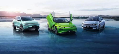 蔚小理 在爭議與贊譽(yù)交織中成長的汽車配件銷售新模式